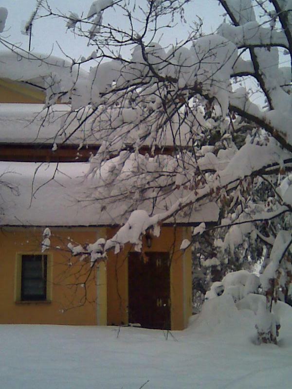 Le Spighe Agriturismo Чезена Екстер'єр фото