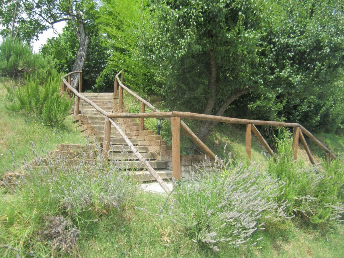 Le Spighe Agriturismo Чезена Екстер'єр фото